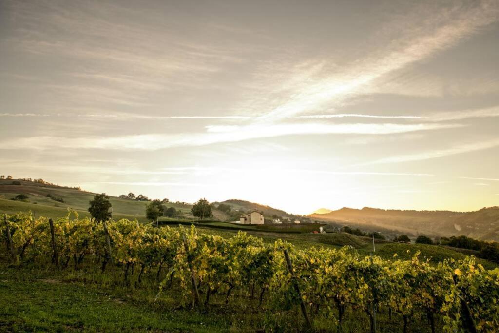 La Casa Vacanza Con Vista Panoramica Sui Vigneti Rotella Kültér fotó